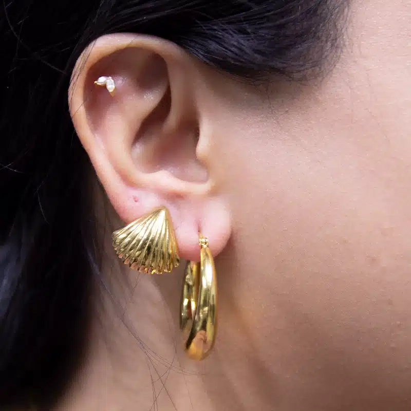 Gold Shell - Image 2