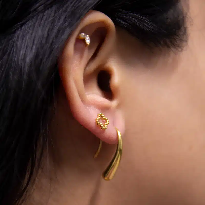Little Clover Stud - Image 2